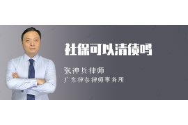 桂东桂东的要账公司在催收过程中的策略和技巧有哪些？